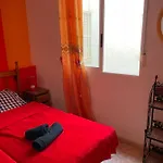 Ibanez, Casa 119 * Торевьиа